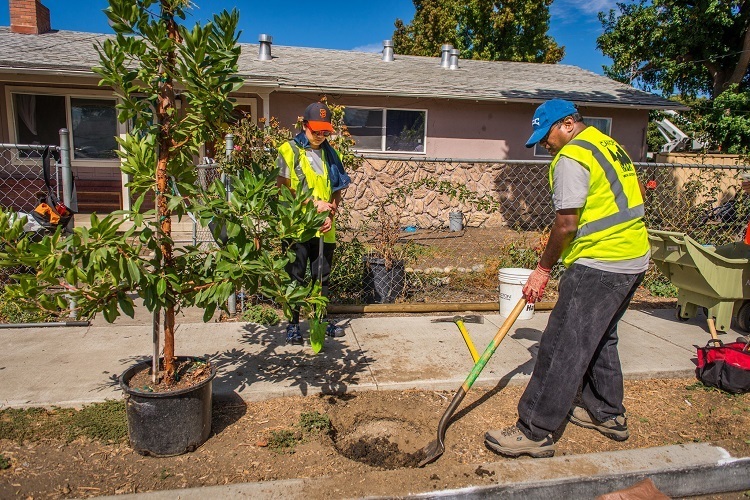 Keep A Happy And Healthy Yard With The Help Of Tree Services